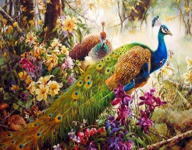 Paon au Milieu de Fleurs Peinture par Numéros
