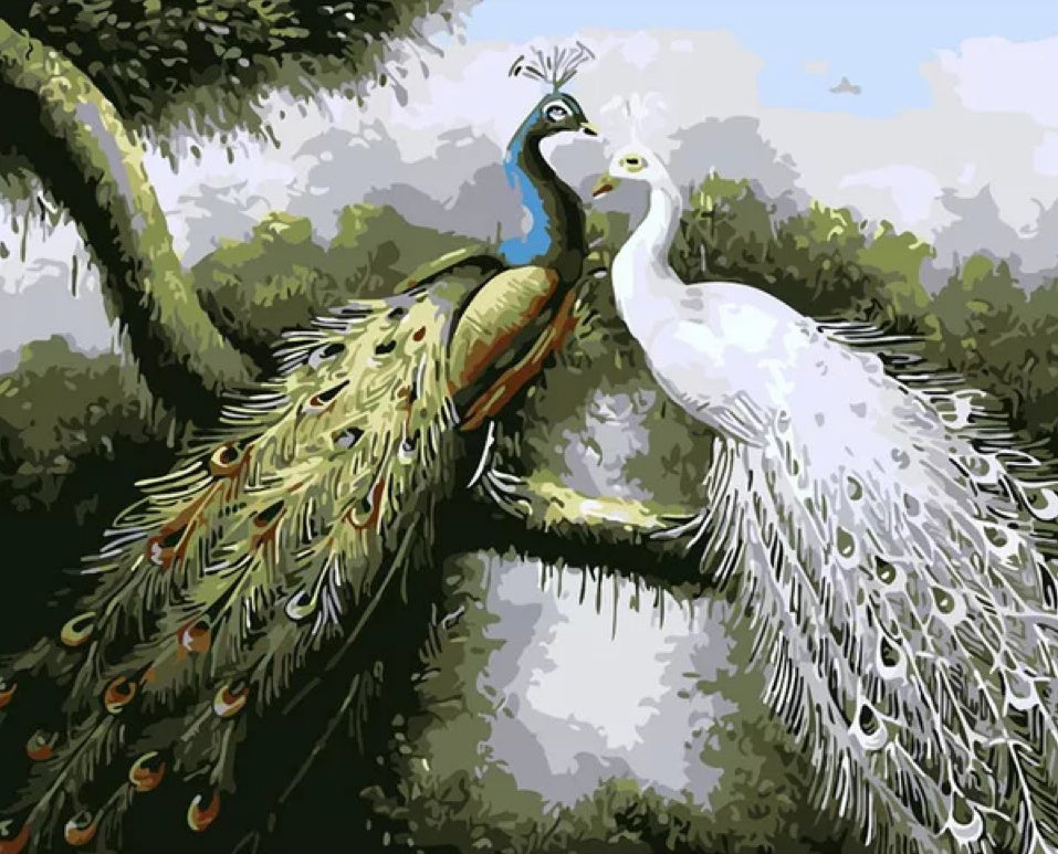 Paon Bleu et Paon Blanc Peinture par Numéros