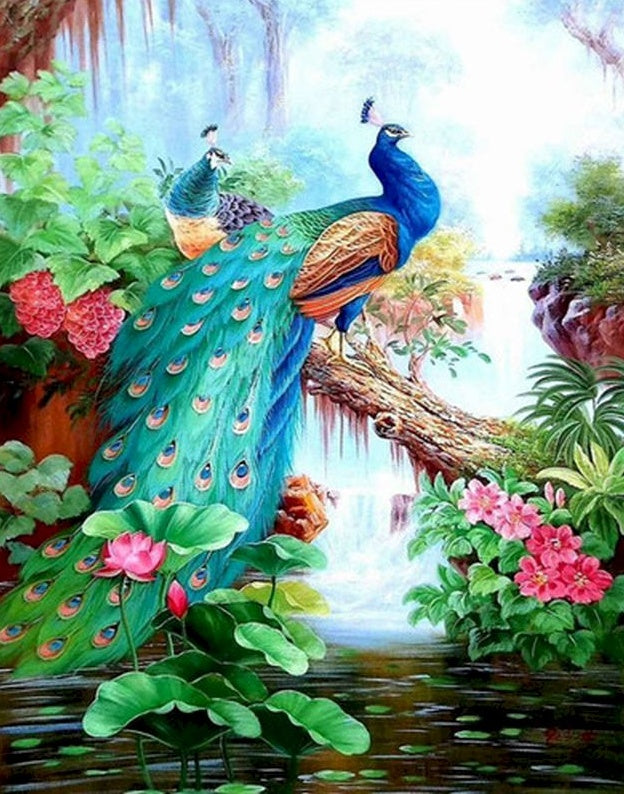 Paons et Lotus Peinture par Numéros