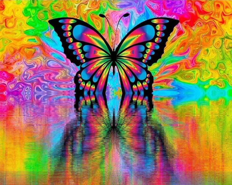 Papillon d'Arc-en-Ciel Peinture par Numéros