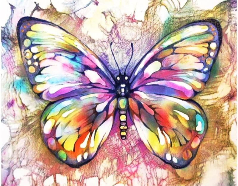 Papillon en Couleurs Variés Peinture par Numéros