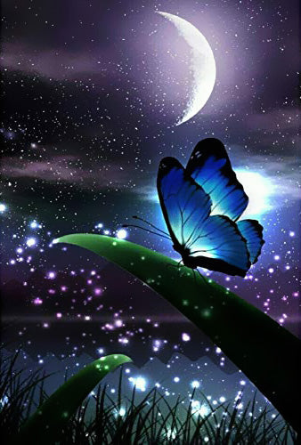 Papillon et la Lune Peinture par Numéros