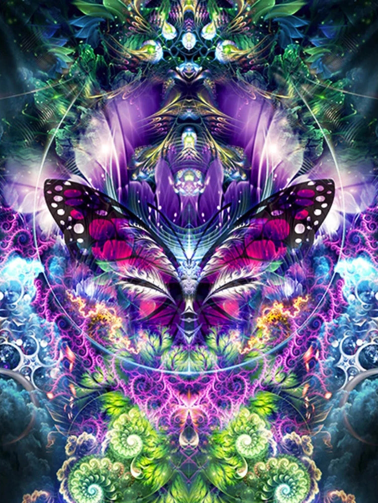Papillon Etrange Peinture par Numéros