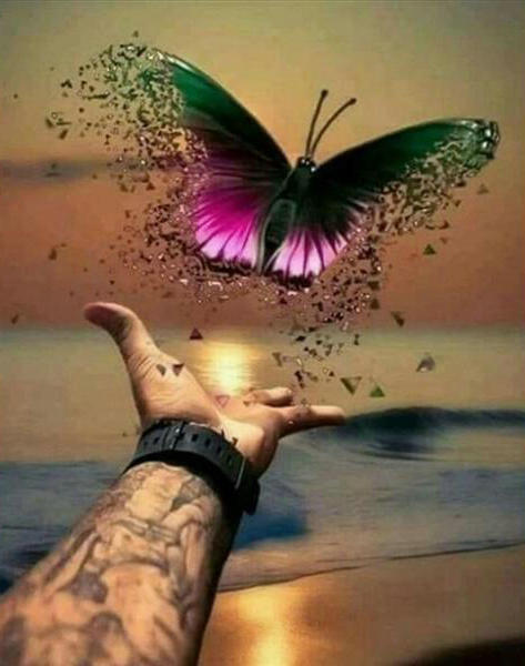 Papillon Volant vers l'Océan Peinture par Numéros