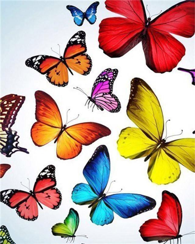 Papillons Colorés Volant Peinture par Numéros