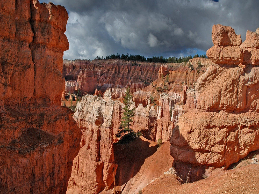 Parc national de Bryce Canyon Peinture par Numéros
