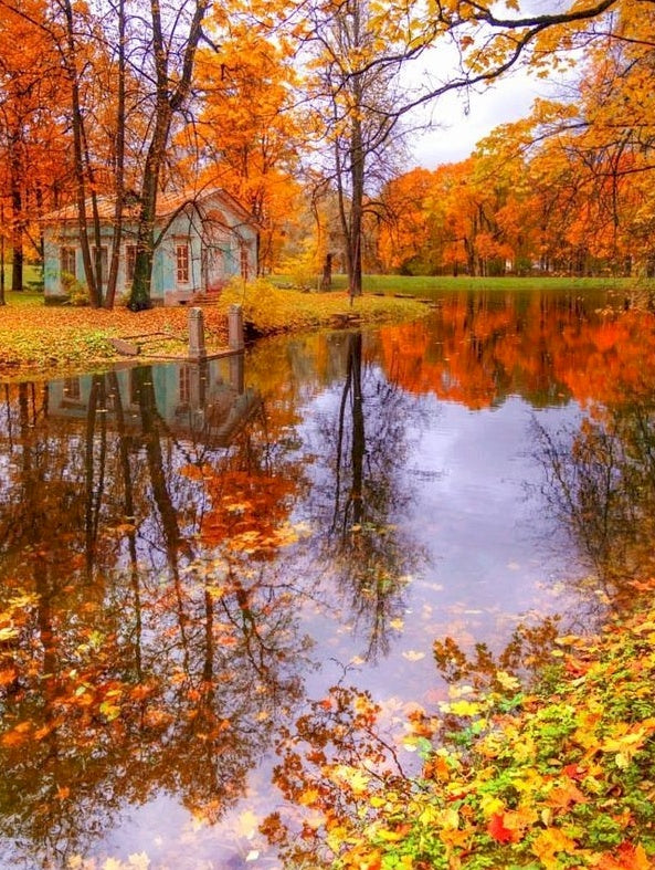 Paysage d'Automne Peinture par Numéros PBNNATL349