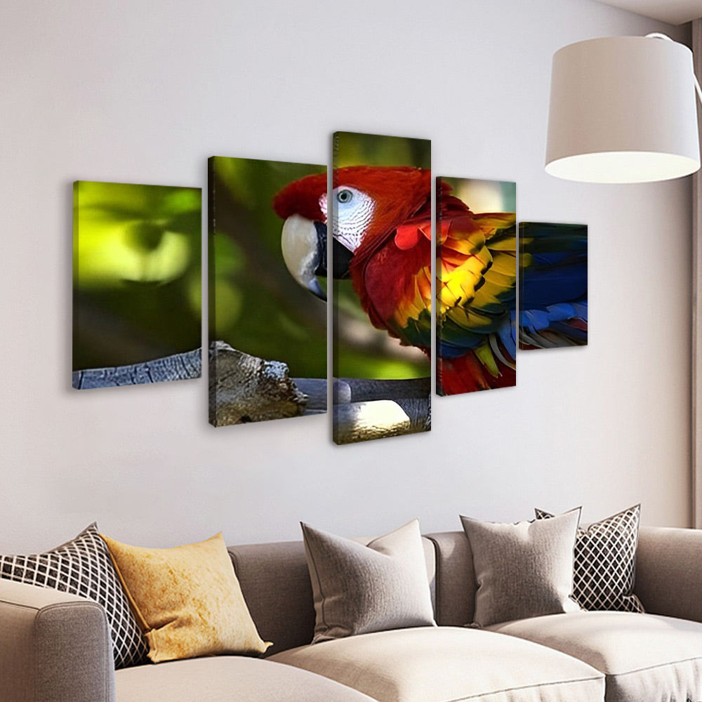Perroquet 5 Partie Peinture par Numéros