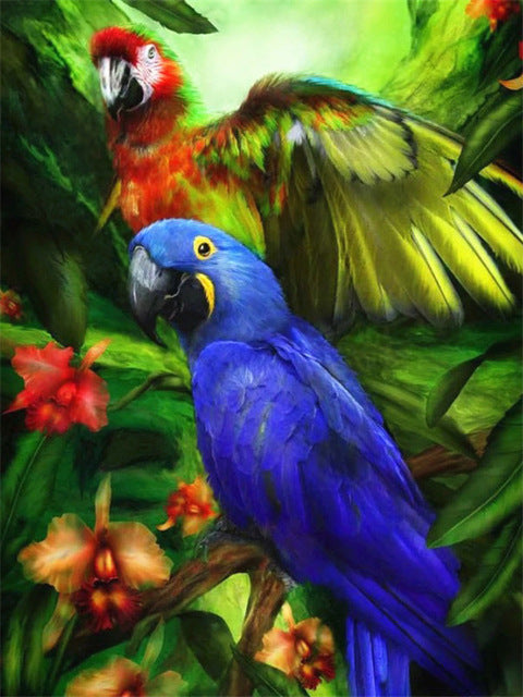 Perroquet Bleu et Perroquet Rouge Peinture par Numéros