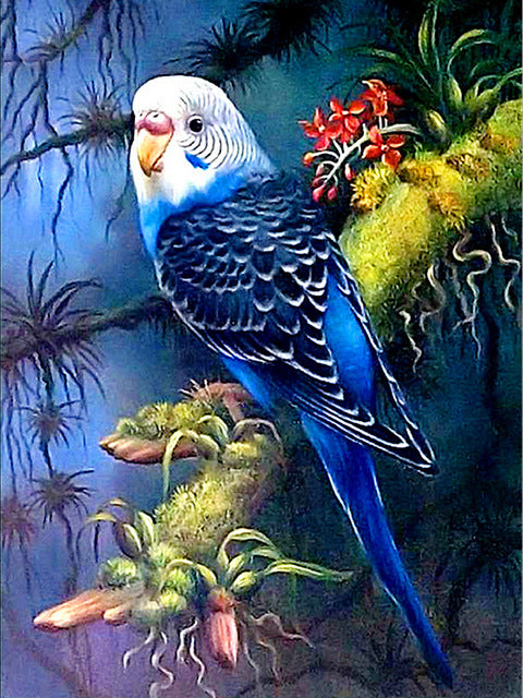 Perroquet Bleu Peinture par Numéros