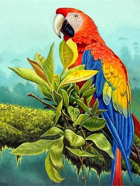 Perroquet et Feuilles Peinture par Numéros
