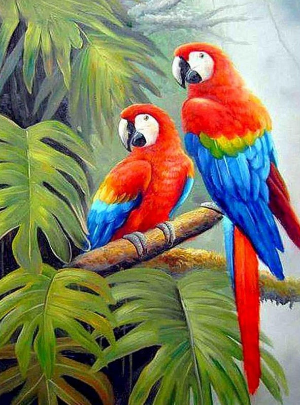 Perroquets Colorés Peinture par Numéros
