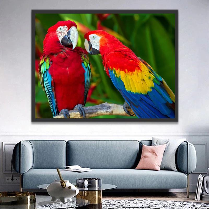 Perroquets Magnifiques Peinture par Numéros