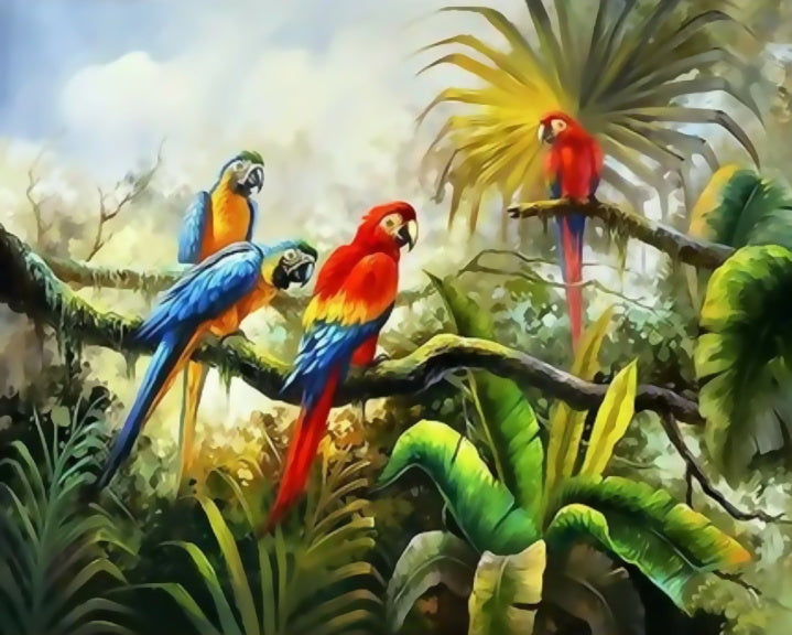 Perroquets pendant Conversation Peinture par Numéros