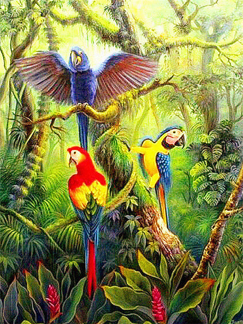 Perroquets Volant dans la Forêt Peinture par Numéros