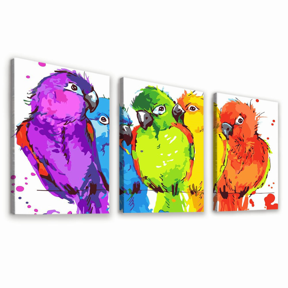 Perruches Colorées 3 Partie Peinture par Numéros