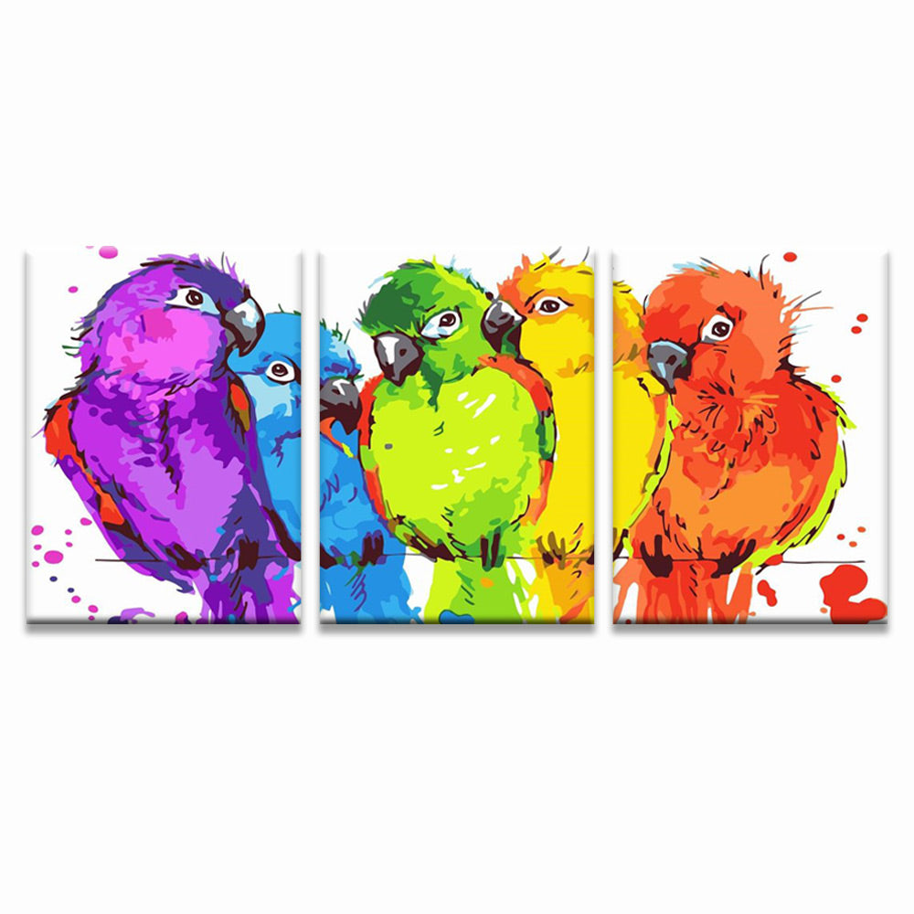 Perruches Colorées 3 Partie Peinture par Numéros