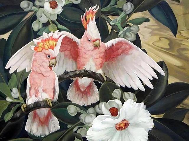 Perruches Roses et Blanches Peinture par Numéros
