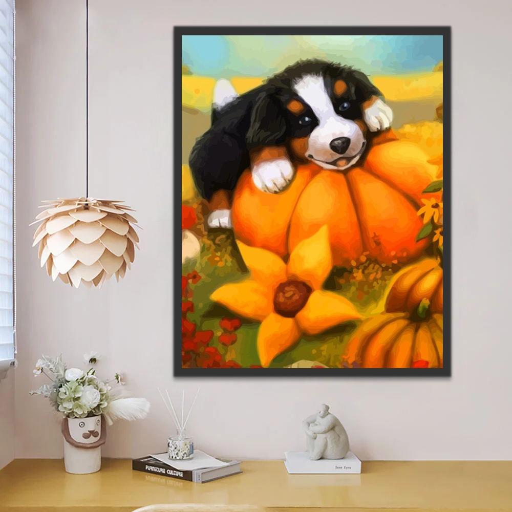 Petit Bouvier Bernois Citrouilles Halloween Peinture par Numéros