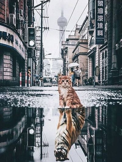 Petit Chat Roux dans la Rue de Shanghai Peinture par Numéros