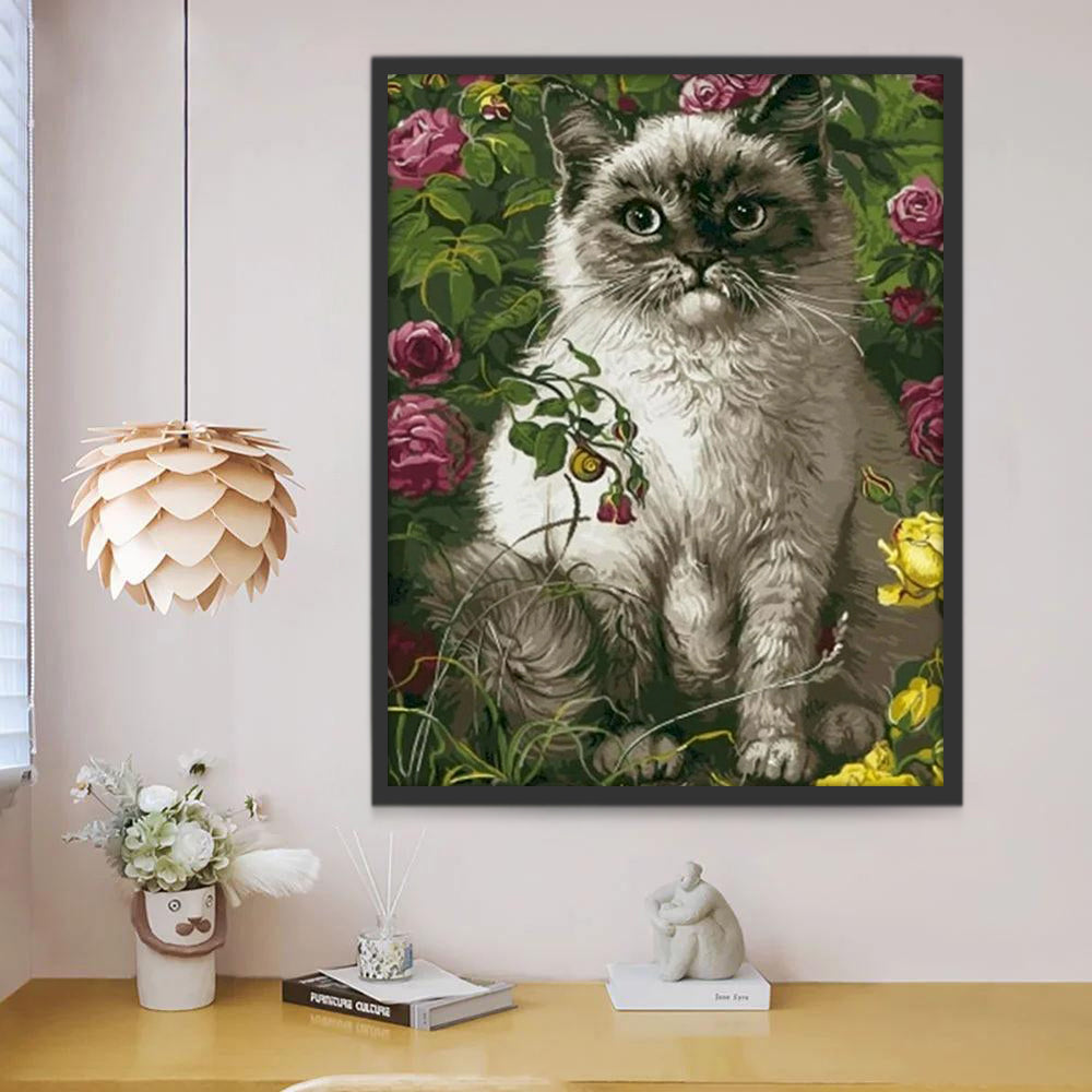 Petit Chat Siamois Peinture par Numéros