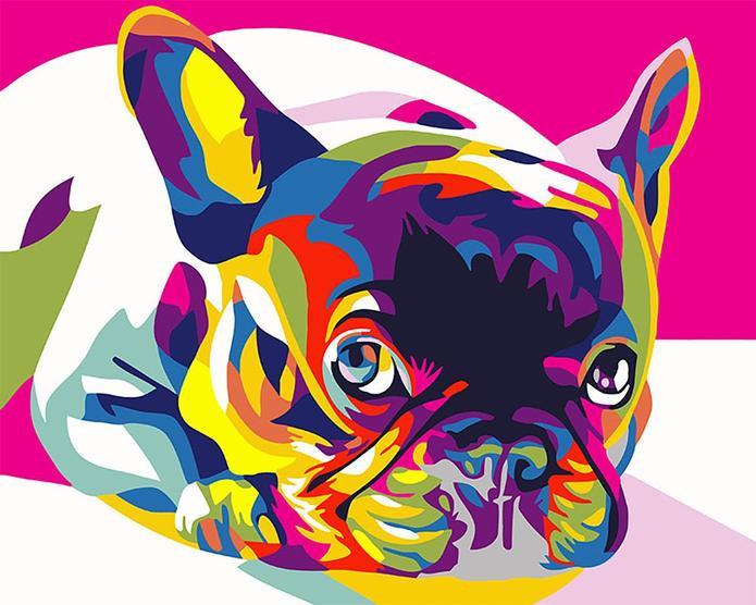 Petit Chien Bouledogue Coloré Peinture par Numéros