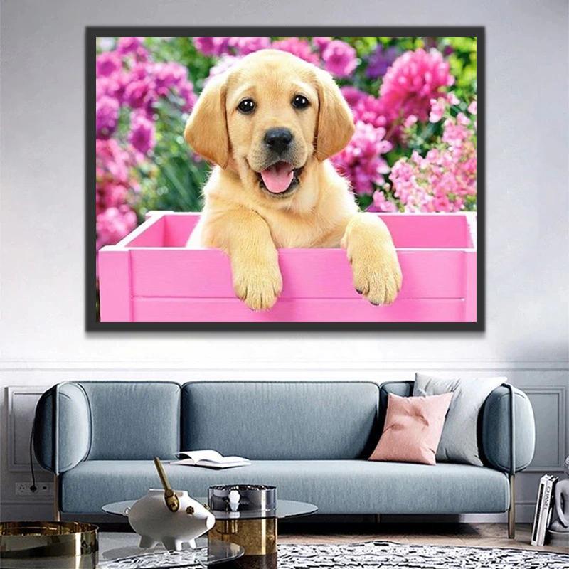 Petit Chien dans la Boîte Rose Peinture par Numéros