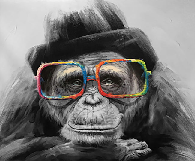 Petit Chimpanzé Portant des Cadres Colorés Peinture par Numéros