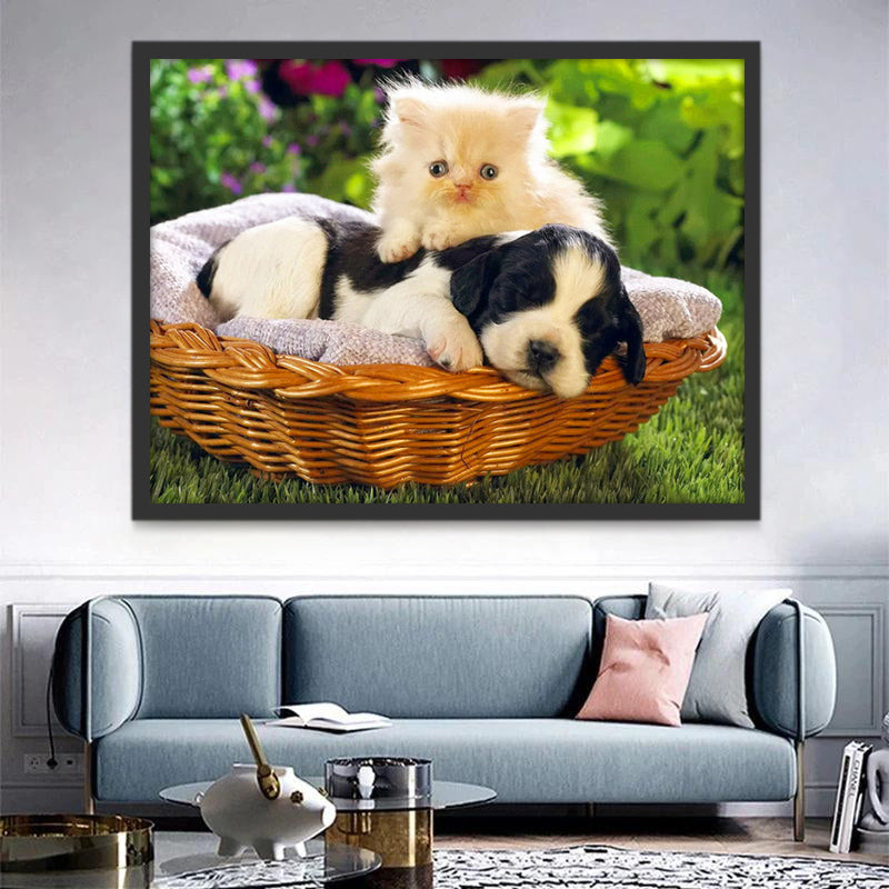 Petit Chiot et Petit Chaton Peinture par Numéros