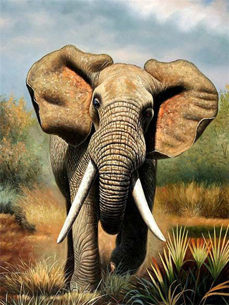 Petit Éléphanteau Adorable Peinture par Numéros