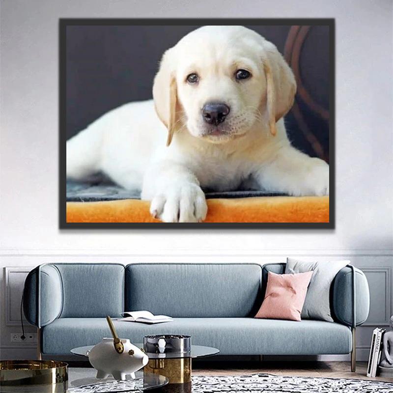 Petit Golden Retriever Peinture par Numéros