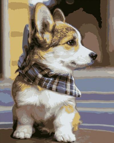 Petit Gorgi Adorable Peinture par Numéros