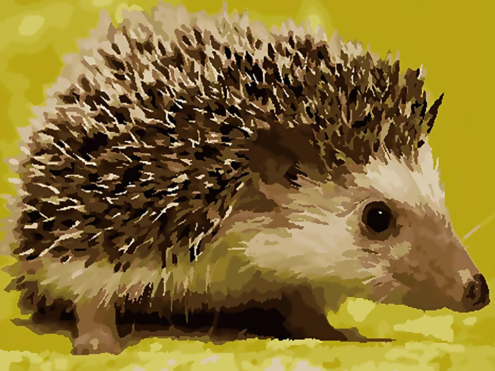 Petit Hérisson Peinture par Numéros