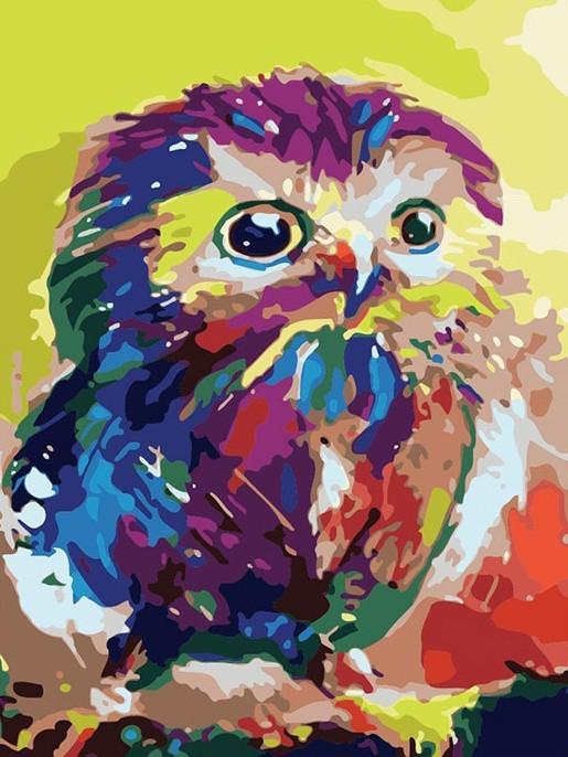 Petit Hibou Multicolore Peinture par Numéros