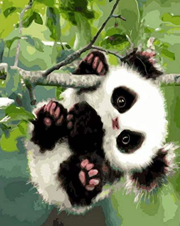 Petit Panda Espiègle Peinture par Numéros