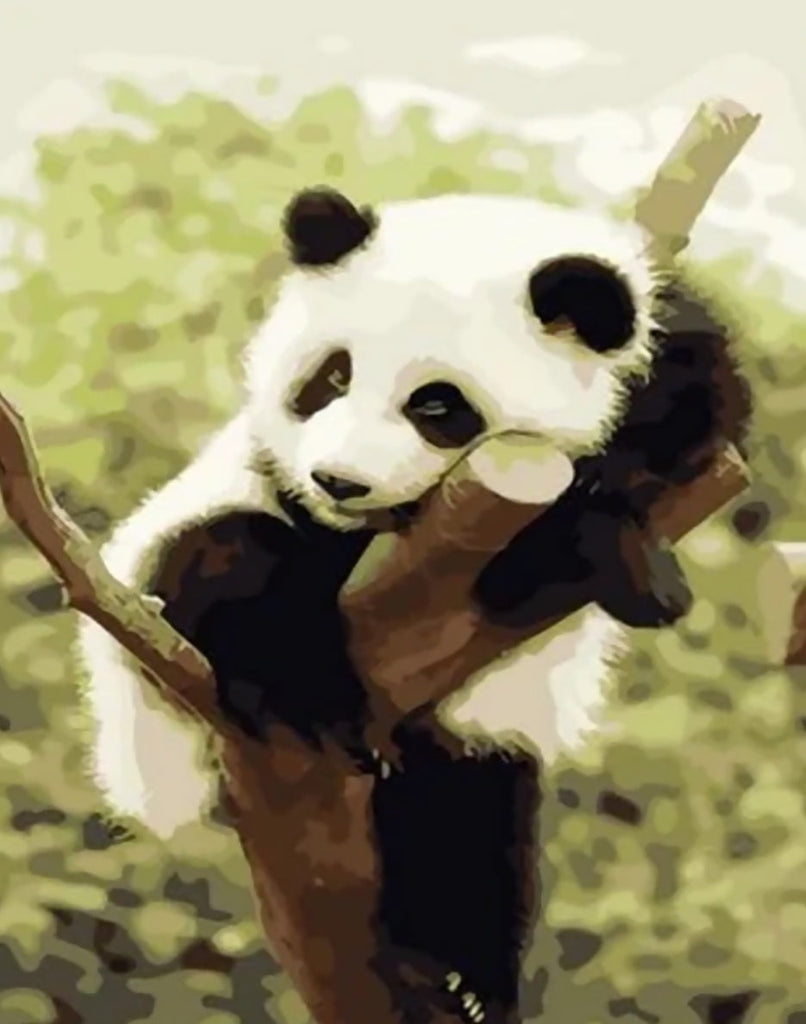 Petit Panda Paresseux Peinture par Numéros