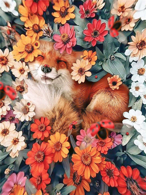 Petit Renard Roux Endormi et les Pâquerettes Peinture par Numéros
