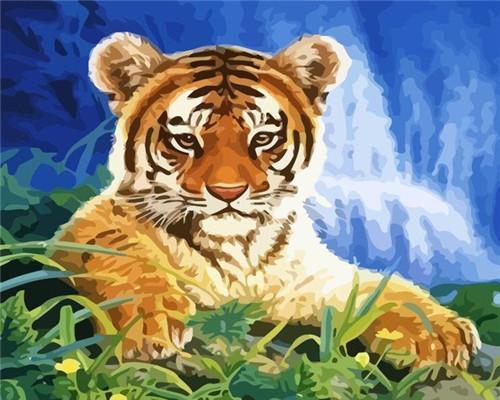 Petit Tigre et Chute d'Eau Peinture par Numéros