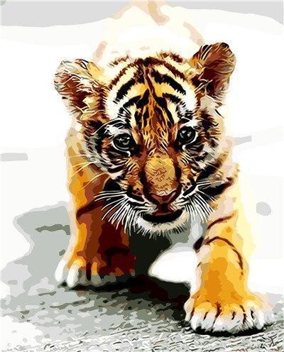 Petit Tigre Peinture par Numéros