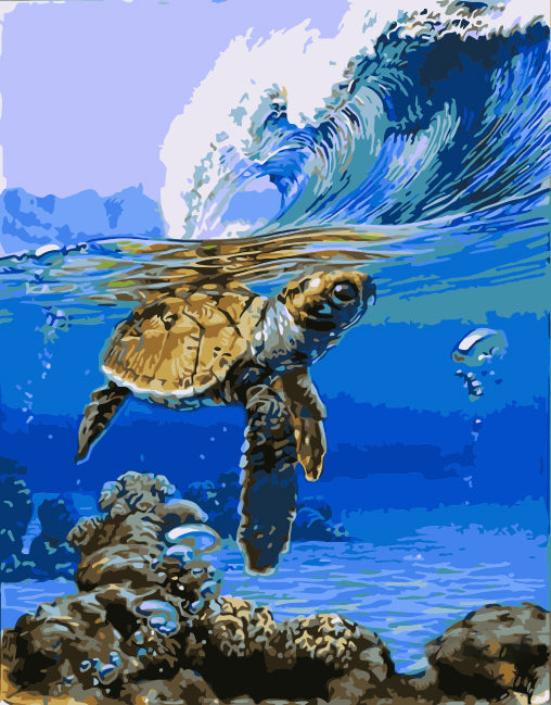 Petite Maritime Tortue Peinture par Numéros