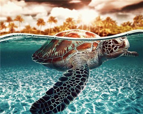 Petite Tortue dans la Mer Peinture par Numéros