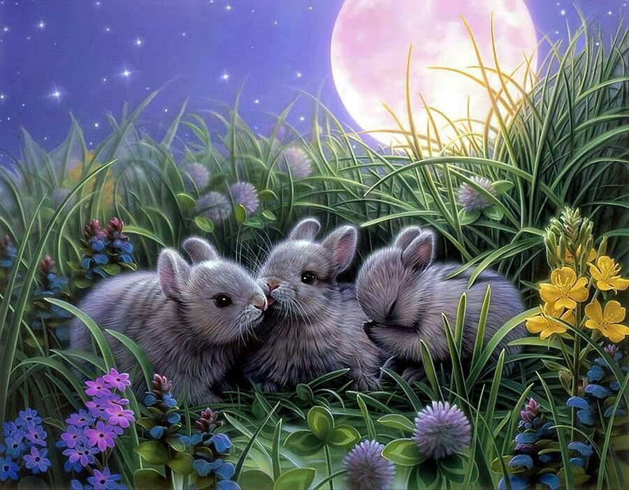 Petits Lapins et Lune Peinture par Numéros
