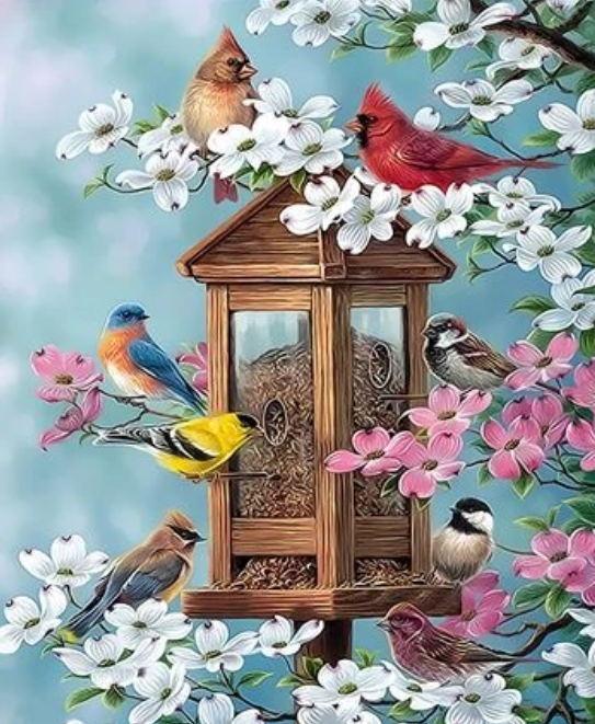 Petits Oiseaux et Fleurs Blanches et Roses Peinture par Numéros