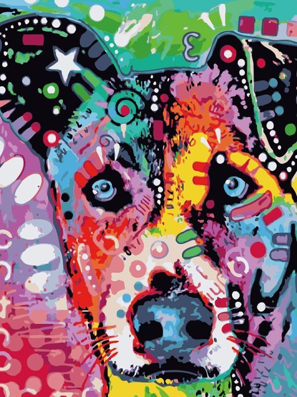 Pit Bull Coloré Peinture par Numéros