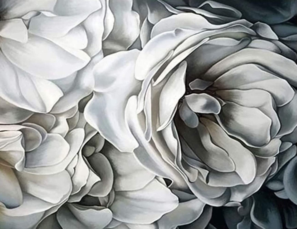 Pivoine Blanches et Noires Fleur Peinture par Numéros