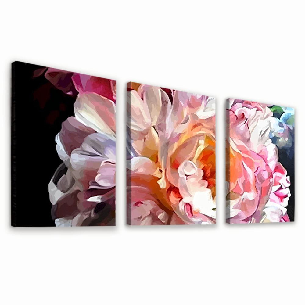 Pivoine Colorée 3 Partie Peinture par Numéros