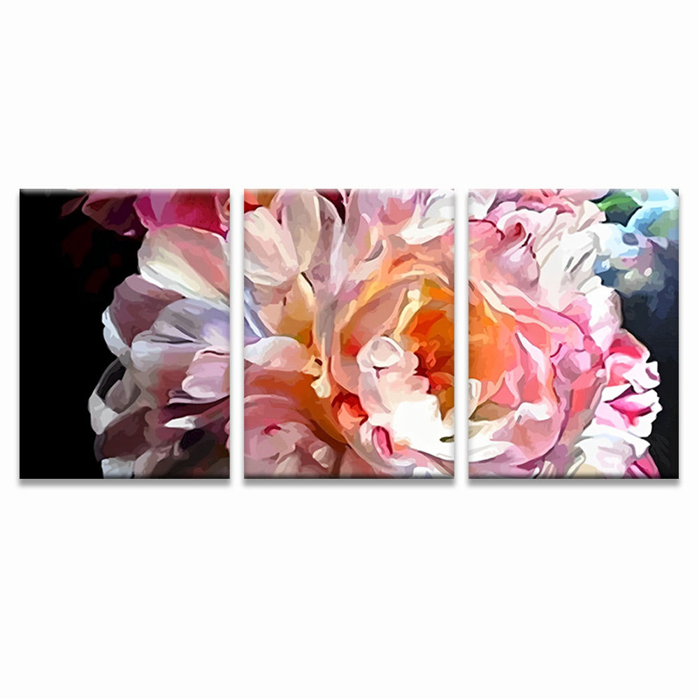 Pivoine Colorée 3 Partie Peinture par Numéros