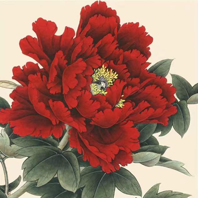 Pivoine Rouge Peinture par Numéros