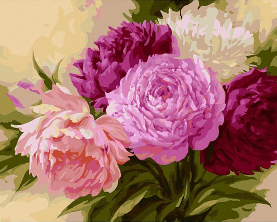 Pivoines Colorées Vivaces Peinture par Numéros