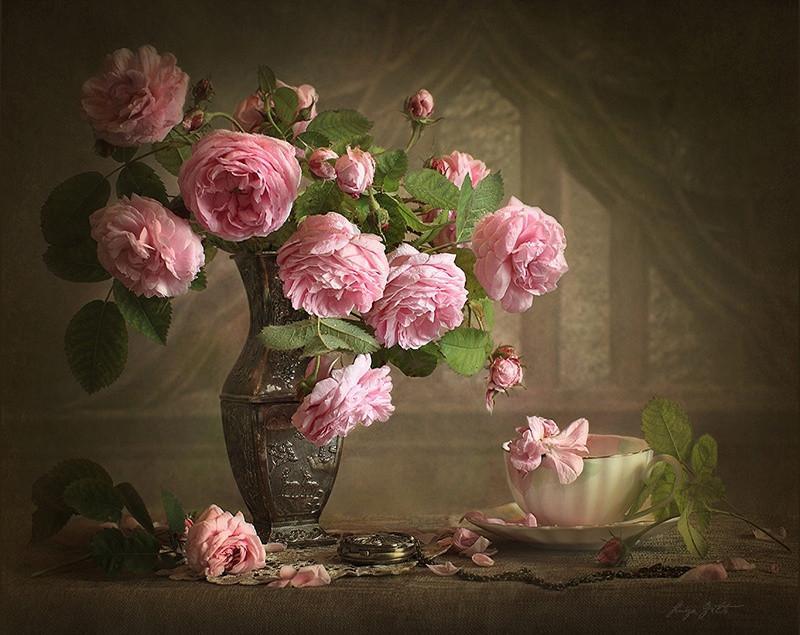 Pivoines Elégantes Peinture par Numéros